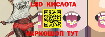 шишки Конаково
